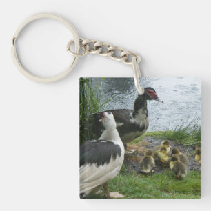 Porte-clés Muscovy Canards Et Canards Porte - clés