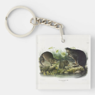 Porte-clés Muskrat de Quadrupeds of North America d'Audubon