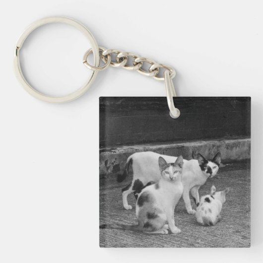 Porte-clés N&B -  Chats (Devant)