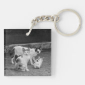 Porte-clés N&B -  Chats (Dos)
