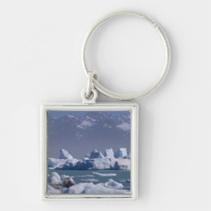 Porte-clés NA, États-Unis, Alaska, chaîne St. Elias, rivière