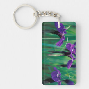 Porte-clés NA, États-Unis, Alaska, île Knight, Iris sauvage