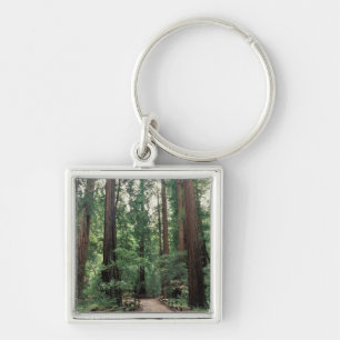 Porte-clés NA, États-Unis, Californie, comté de Marin, Muir W