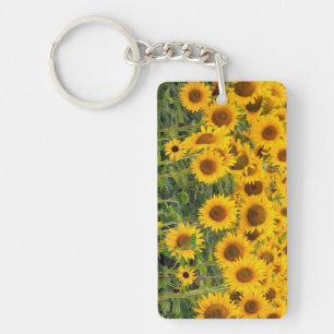 Porte-clés Na, États-Unis, Colorado, Tournesols