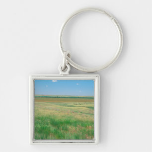 Porte-clés NA, États-Unis, NE. Prairies près d'Ogallala avec