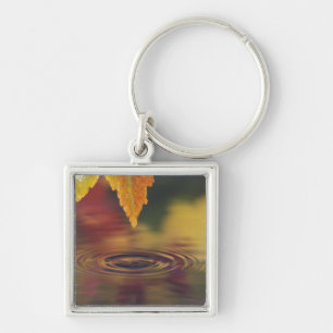 Porte-clés NA, États-Unis, Pacifique Nord-Ouest