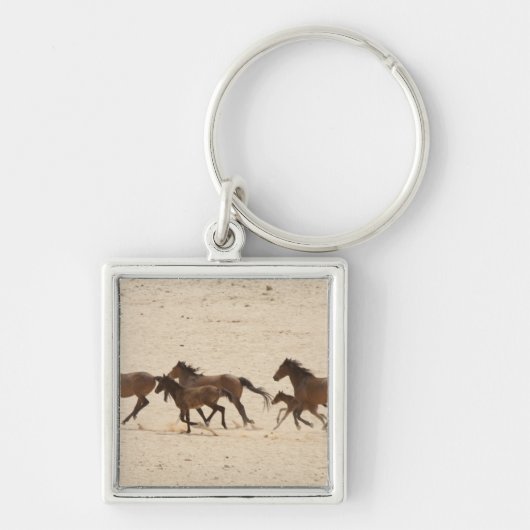 Porte-clés Namibie, Aus. Groupe de chevaux sauvages sur (Devant)