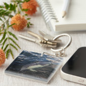 Porte-clés Natation commune des dauphins (Devant Droit)