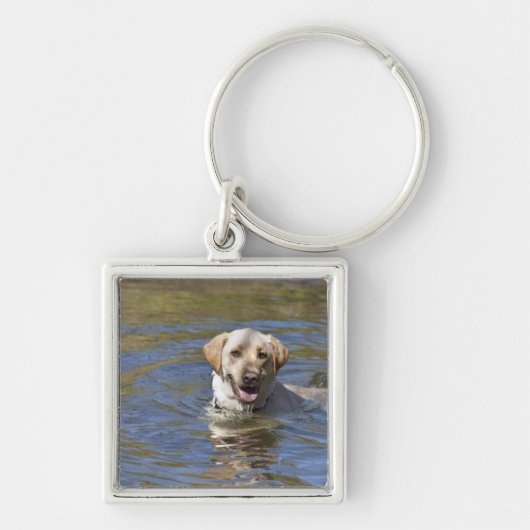 Porte-clés Natation de chien (Devant)