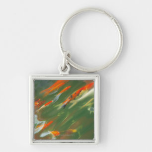 Porte-clés Natation de poissons de carpe de Koi dans un étan