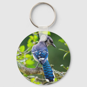 Porte-clés Nature Photographie Shy Blue Jay Vêtements Cadeaux