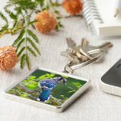 Porte-clés Nature Photographie Shy Blue Jay Vêtements Cadeaux (Côté)