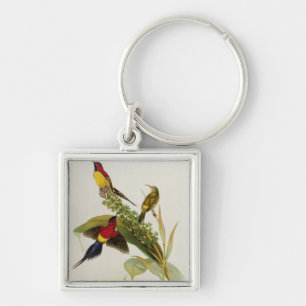 Porte-clés Nectarinia Gouldae