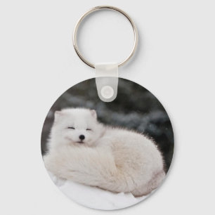Porte-clés neige hiver neige glace arctique renard