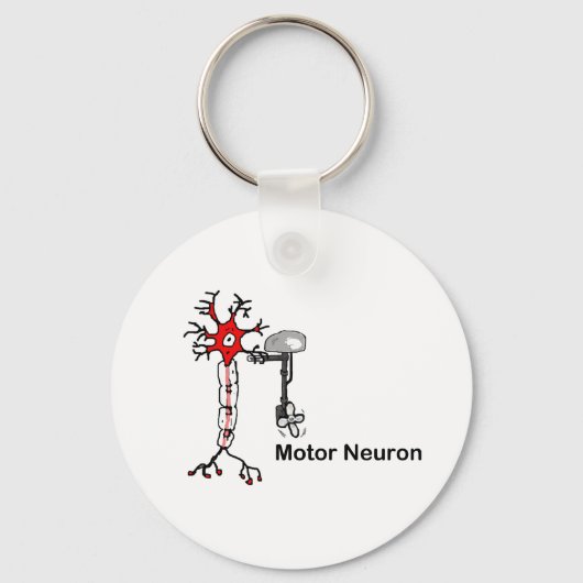 Porte-clés Neuron moteur (Recto)