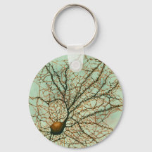 neurone hippocampal vert - Porte - clé