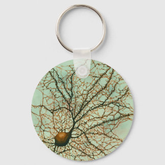 Porte-clés neurone hippocampal vert - Porte - clé