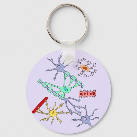 Porte-clés Neurones et glie (Recto)