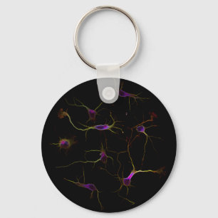 Porte-clés NeuronRoots KeyRing