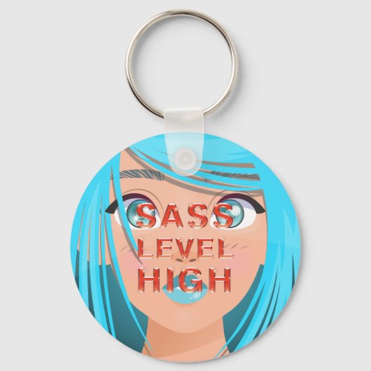 Porte-clés Niveau de Sass Élevé (Recto)