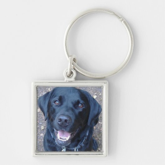 Porte-clés noir de chien de Labrador (Devant)