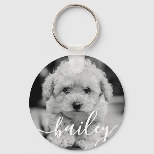 Porte-clés Nom et photo chic simple et élégant de l'animal de (Recto)