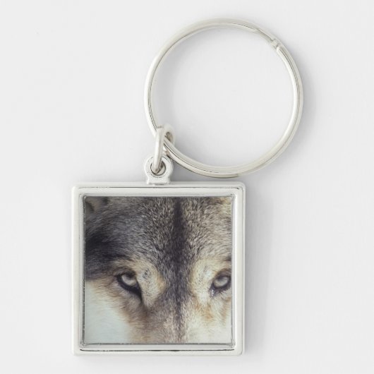 Porte-clés Nom latin : Lupus de Canis (Devant)