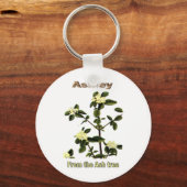 Porte-clés Noms et significations - Ashley (Recto)