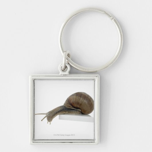 Porte-clés Normalsnail (Devant)