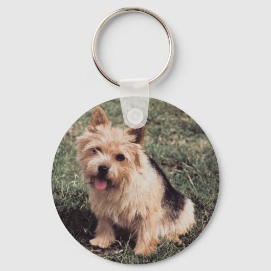 Porte-clés Norwich Terrier Porte - clé (Recto)
