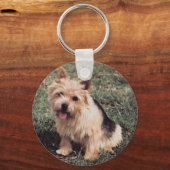 Porte-clés Norwich Terrier Porte - clé (Recto)
