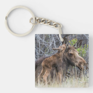 Porte-clés Nouveau-né orignal veau câlinant sa mère
