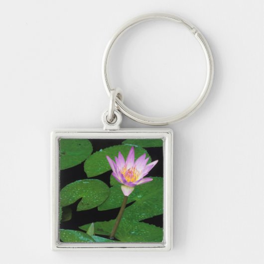 Porte-clés Nymphéa du Cap (Nymphaea Capensis) (Devant)