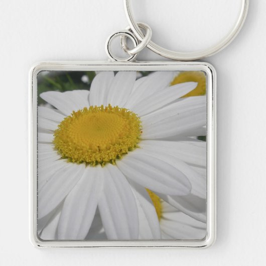 Porte-clés Objets floraux Fleurs sauvages Oxeye Daisy (Devant)
