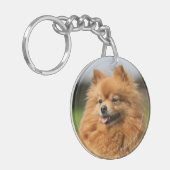 Porte-clés Observation de Pomeranian (Devant gauche)