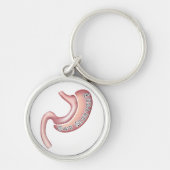 Porte-clés Obtiennent le porte - clé gainé (Devant)