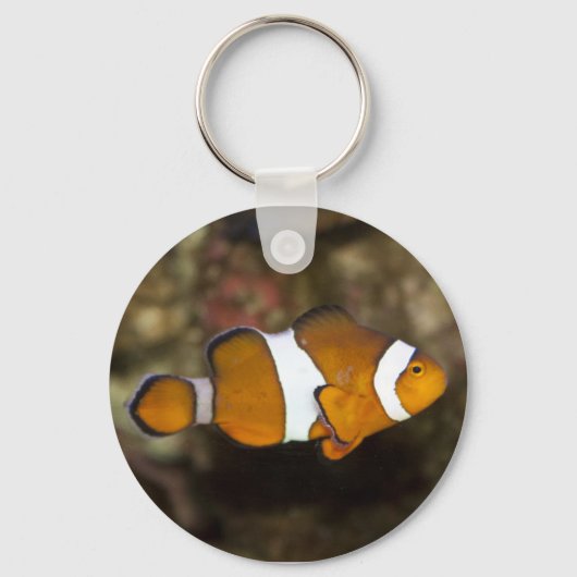Porte-clés Ocellaris Clowfish (Recto)