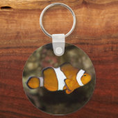 Porte-clés Ocellaris Clowfish (Recto)