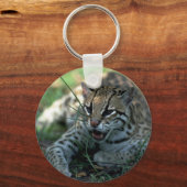 Porte-clés Ocelot allongé (Recto)