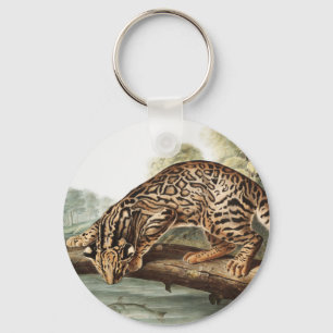 Porte-clés Ocelot, chat léopard (Felis pardalis) Illustration