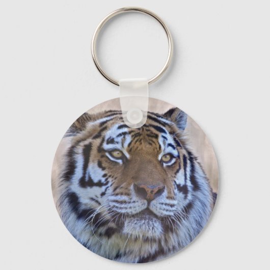 Porte-clés OEil du clavier de tigre (Recto)