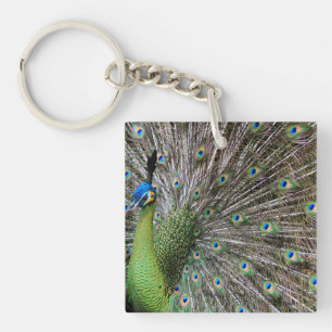 Porte-clés Œuvre d'art élégante de paon et de plume
