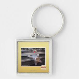 Porte-clés oh salut j'ai amélioré votre RAM