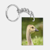 Porte-clés Oie canadienne (Gosling) (Devant gauche)