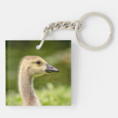 Porte-clés Oie canadienne (Gosling) (Dos)
