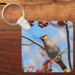 Porte-clés Oiseau chanteur d'hiver, Jaseur boréal