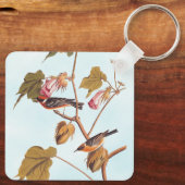 Porte-clés Oiseau de Paruline à poitrine d'Audubon sur Plante (Verso)