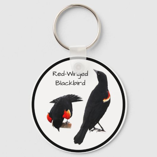 Porte-clés Oiseau noir à ailes rouges (Recto)