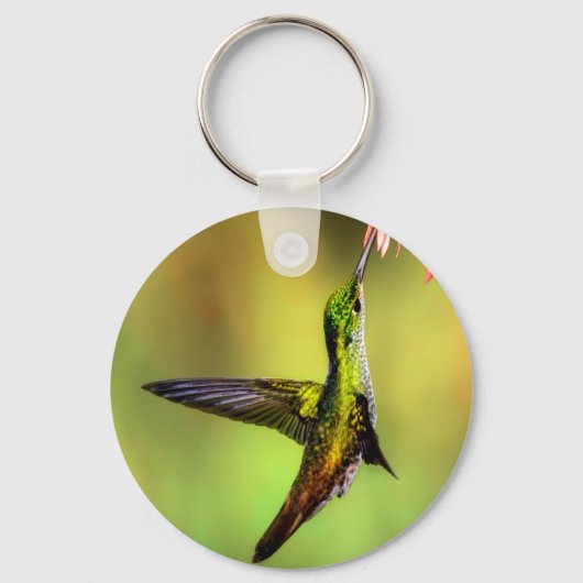 Porte-clés Oiseau rose de colibri (Recto)