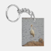 Porte-clés Oiseau spatule (Devant gauche)